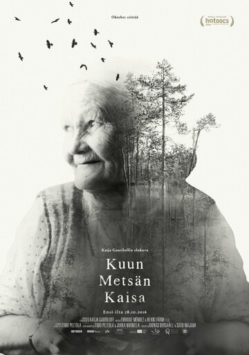 Волшебный лес Кайсы (2016)